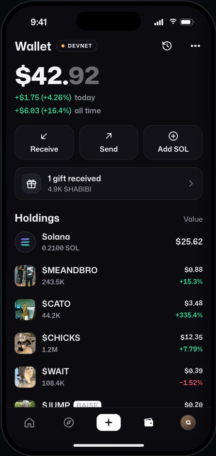 Wallet with balance and holdings in dollars
