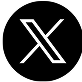 x icon